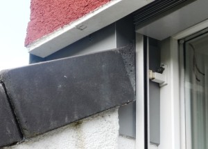 P1020546 Hornissen II