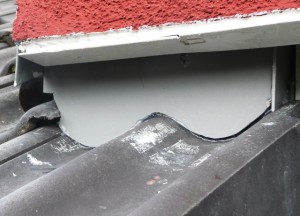 P1020547 Hornissen I